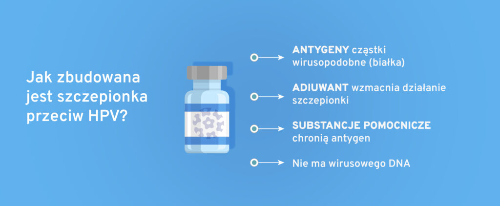 Jak zbudowana jest szczepionka hpv?