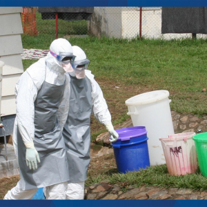 Epidemia Eboli w Republice Konga