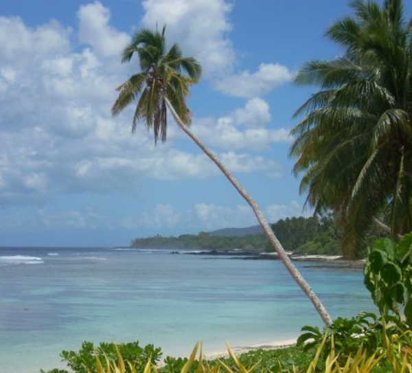 Epidemia odry na Samoa: zamknięto szkoły, planowane są obowiązkowe...