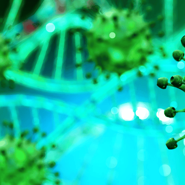 Jedyną naukowo umocowaną metodą kontrolowanego przerwania epidemii SARS-CoV-2 jest...