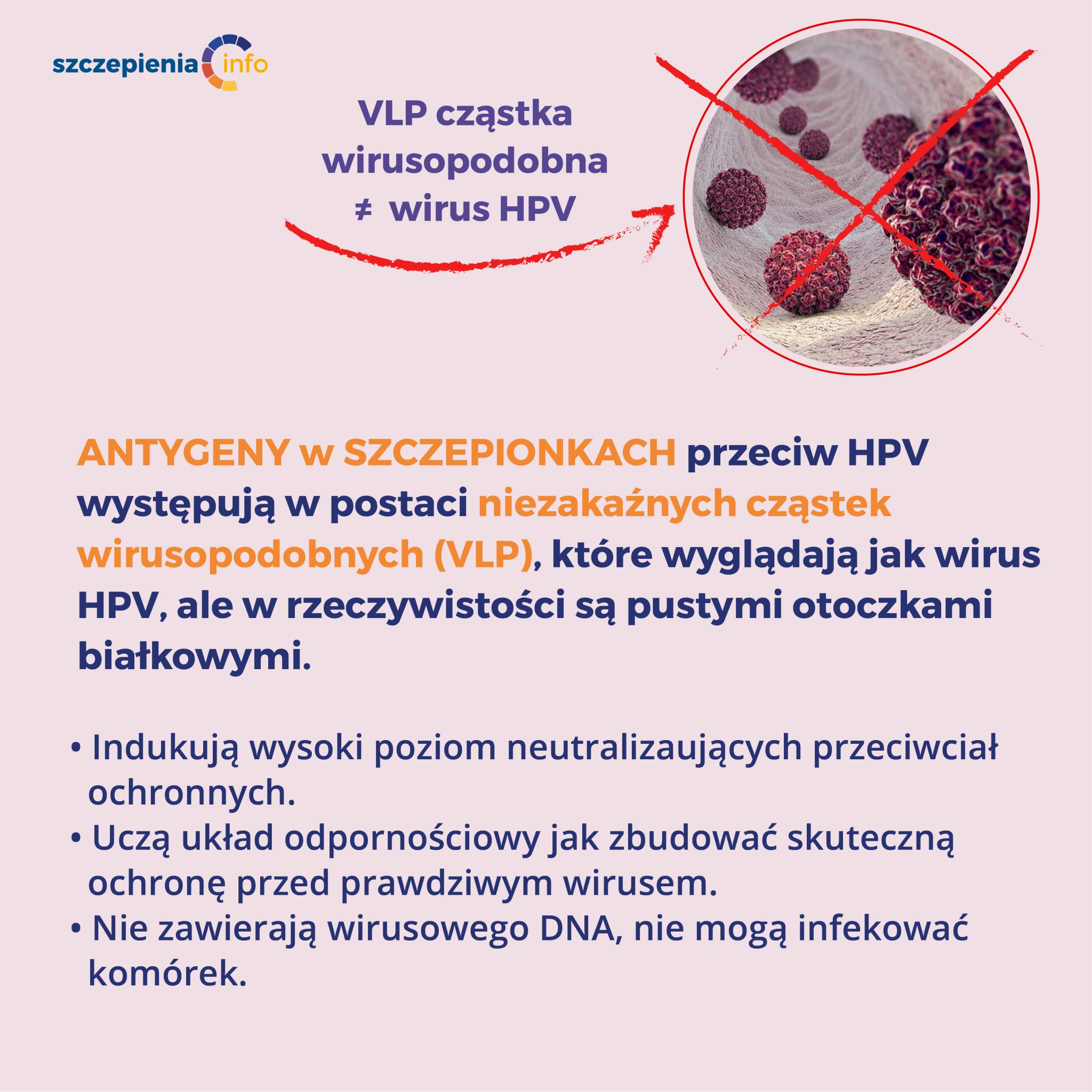 Skład I Jakość Szczepionek Przeciw Hpv Szczepieniainfo 3002