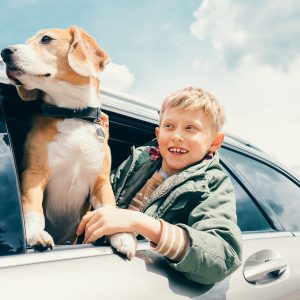 Quiz o szczepieniach przeciw wściekliźnie 