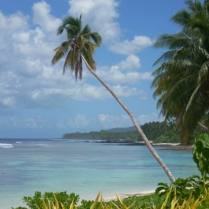 Jakie są przyczyny epidemii odry na Samoa?
